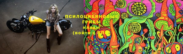 дживик Балабаново