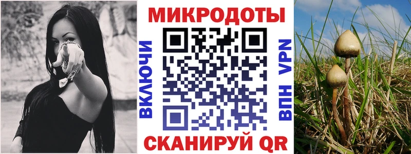Псилоцибиновые грибы Cubensis  Озёрск 