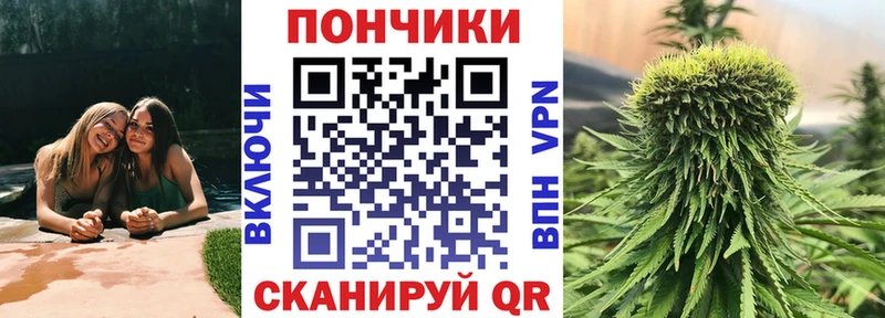 Бошки Шишки планчик  Озёрск 